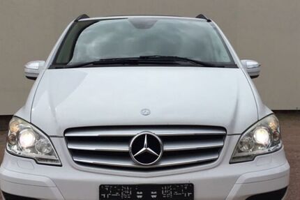 Mercedes Viano
