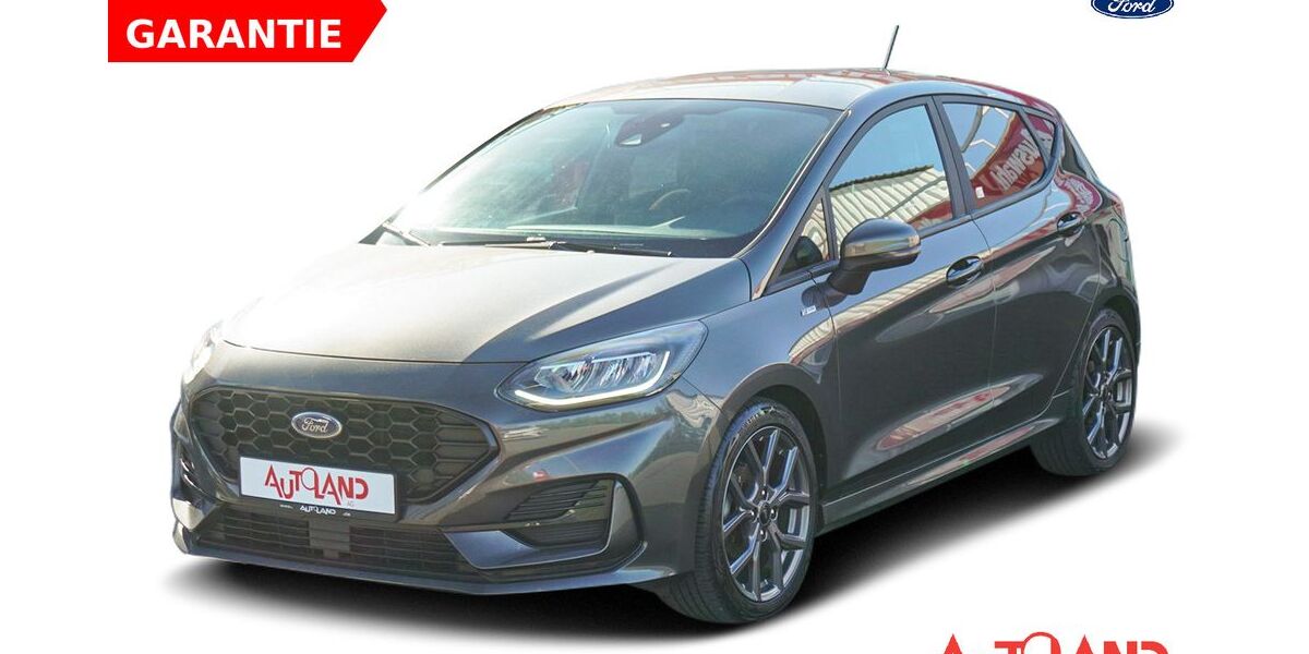 Ford Fiesta 29.987 km 17.950 &euro; Köthen 06366