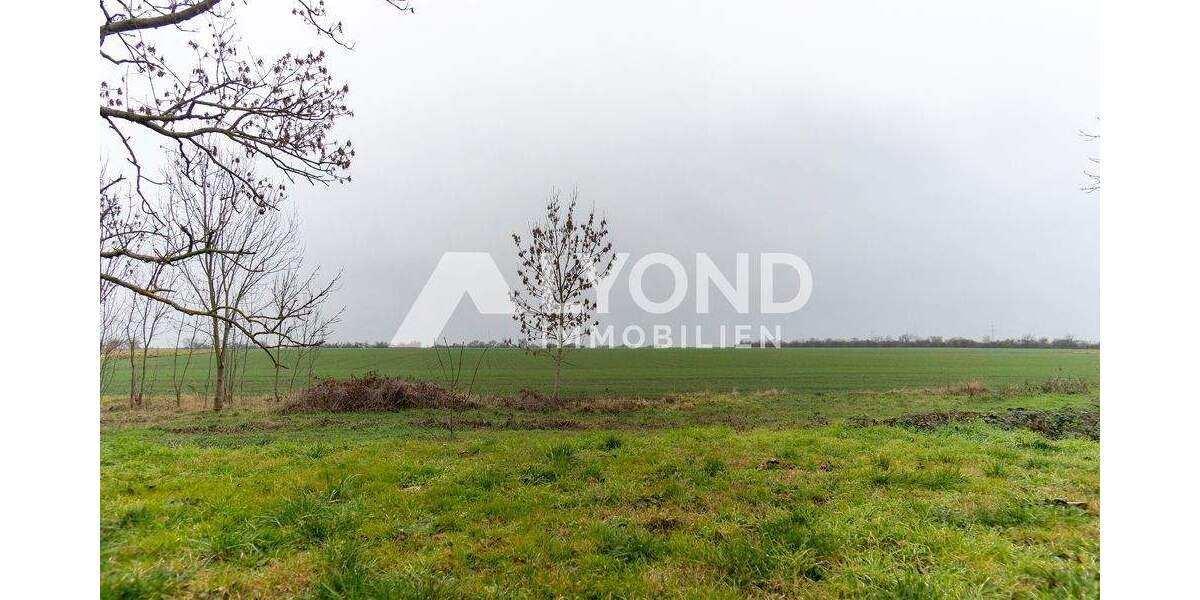 Grundstück Großzöberitz / Großzöberitz Großzöberitz - 170.000&euro; | Angebot:24557599