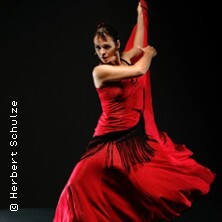 Flamenco Vivo Leipzig