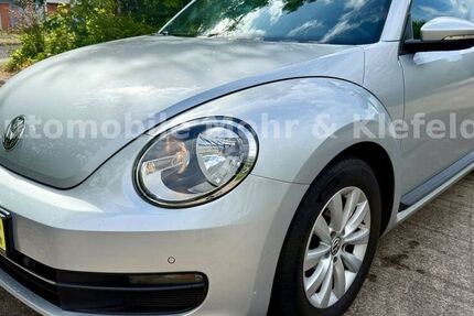 VW Beetle