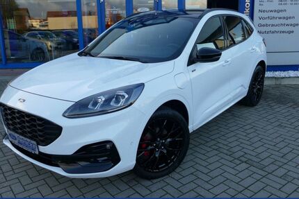 Ford Kuga 42.501 km 33.690 &euro; Mücheln / Geiseltal 06249