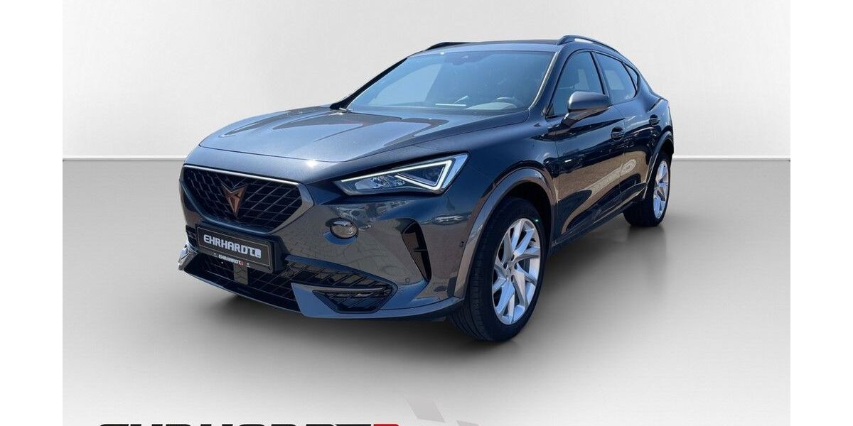 Cupra Formentor 53.070 km 29.990 &euro; Halle 06116