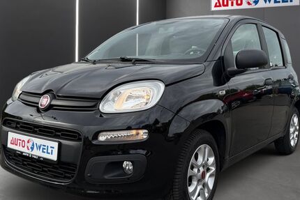 Fiat Panda 113.976 km 5.490 &euro; Sandersdorf Brehna 06796