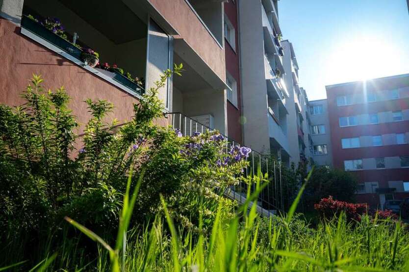 Wohnung zum Mieten in Halle (Saale) 340 € 56.96 m²