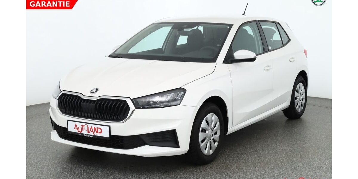 Skoda Fabia 5.758 km 16.990 &euro; Halle 06122