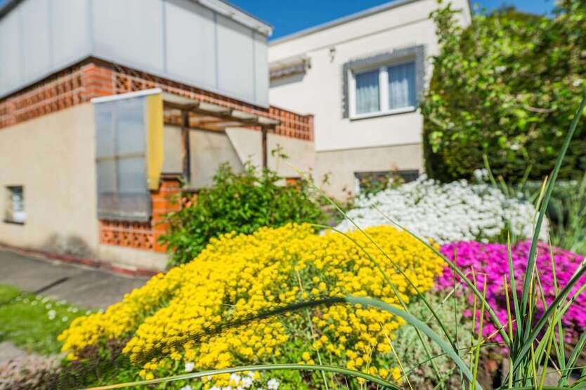Haus zum Kaufen in Halle 355.000 € 91 m²