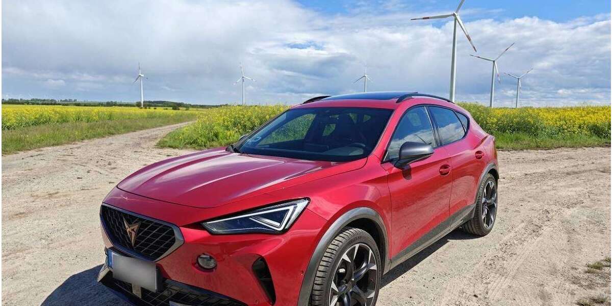 Cupra Formentor 47.500 km 29.999 &euro; Wettin-Löbejün, Stadt 06193