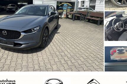 Mazda CX-30 19.568 km 25.990 &euro; Halle 06126