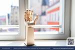 Etagenwohnung Halle (Saale) Altstadt - 3 Zimmer, 2.391&euro; | Angebot:26647854