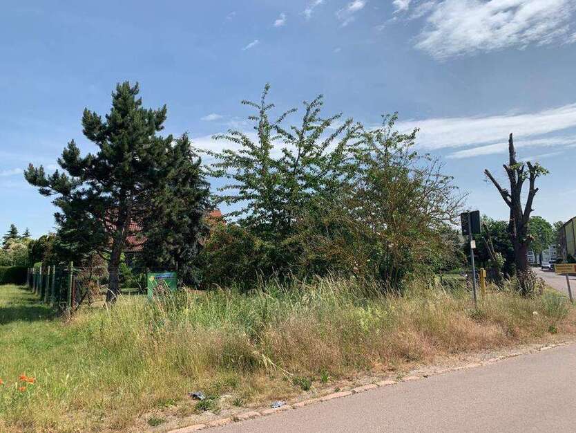 Grundstück in Tornau 12.000 € 99 m²