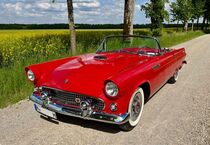 Thunderbird