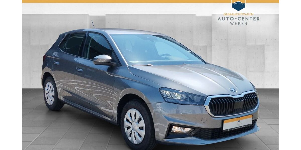 Skoda Fabia 9.530 km 16.780 &euro; Döbernitz 04509