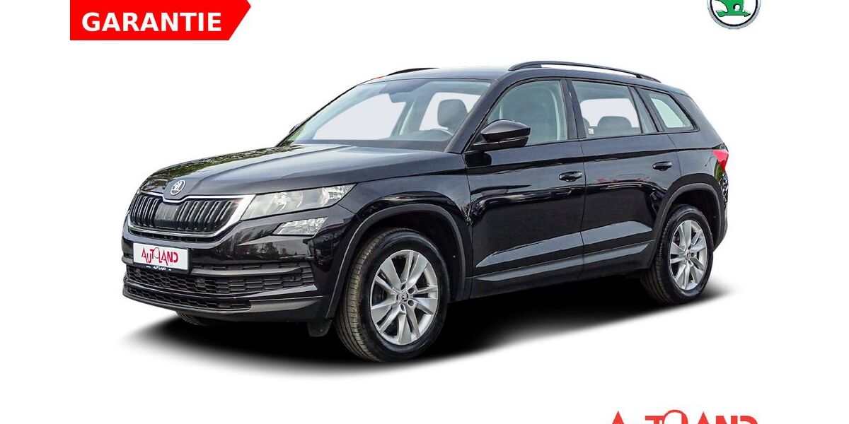 Skoda Kodiaq 131.704 km 19.990 &euro; Eisleben 06295