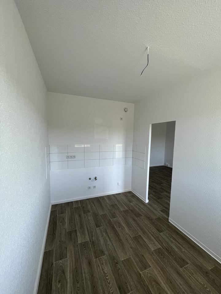 Ausblick in die Heide - ab Mitte März Ihre neue Wohnung zimmer