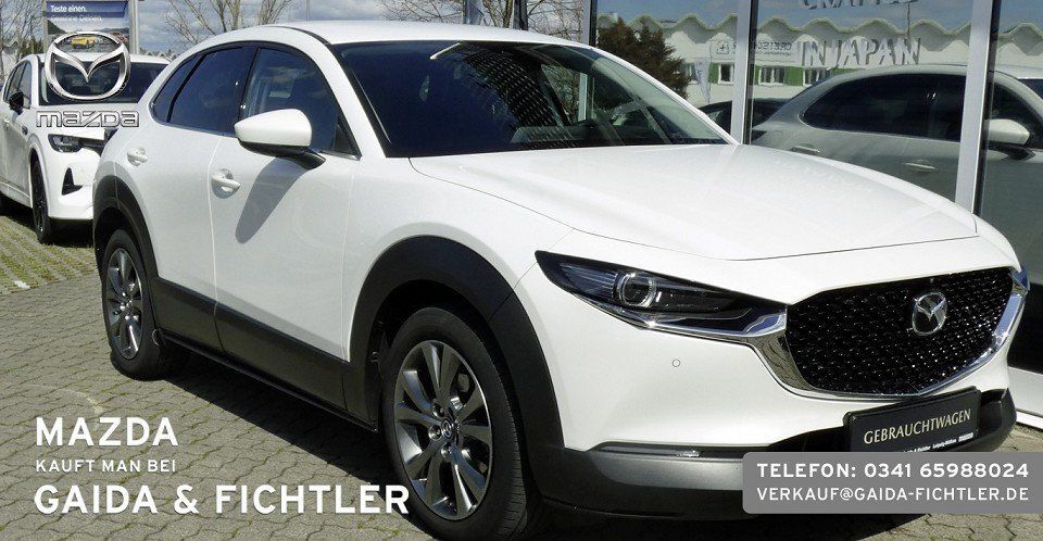CX-30