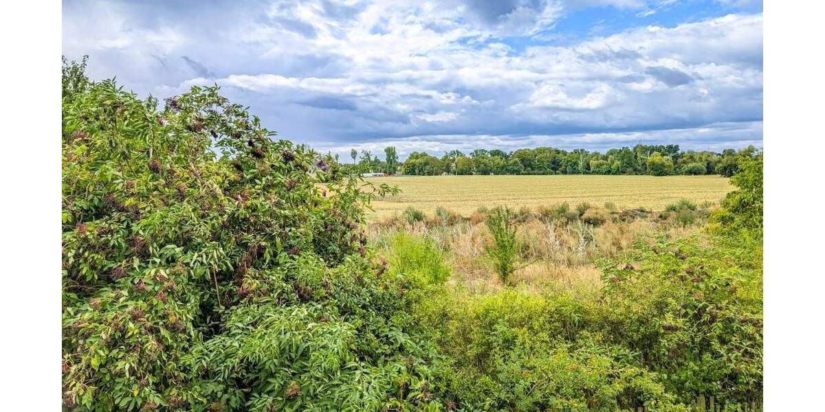 Grundstück Markranstädt Quesitz - 169.000&euro; | Angebot:25165690