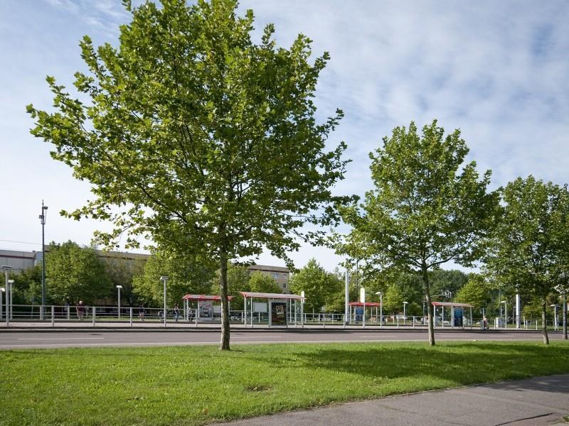 Haflingerstraße 7 - An der Rennbahn