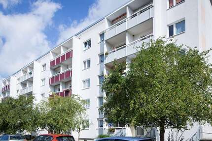 Wohnung Halle Silberhöhe - 2 Zimmer, 41 m&sup2;, 310&euro; | Angebot:27014077