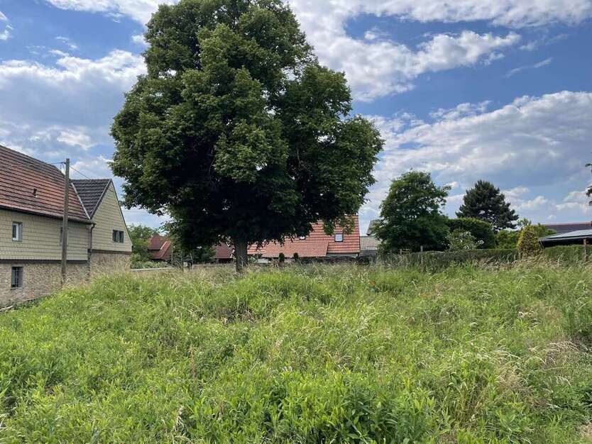 Grundstück zu verkaufen in Lützen 110.000 € 693 m²