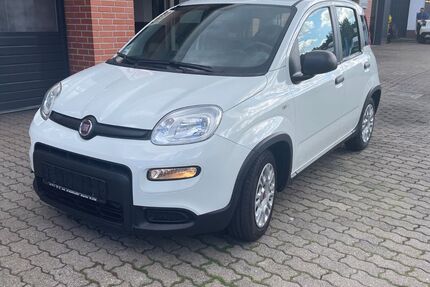Fiat Panda 36.200 km 8.800 &euro; Bitterfeld-Wolfen 06749