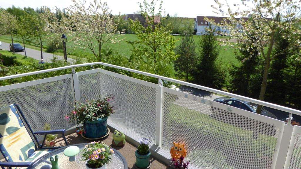 Etagenwohnung Halle (Saale) Frohe Zukunft - 3 Zimmer, 81 m&sup2;, 887&euro; | Angebot:26656807