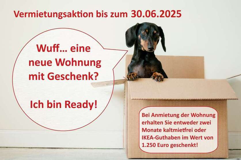 Wohnung zum Mieten in Halle 650 € 81 m²