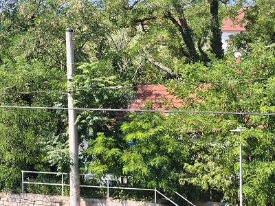 INNERSTÄDTISCHES ENTWICKLUNGSGRUNDSTÜCK - Grundstück Merseburg | Angebot:27281371
