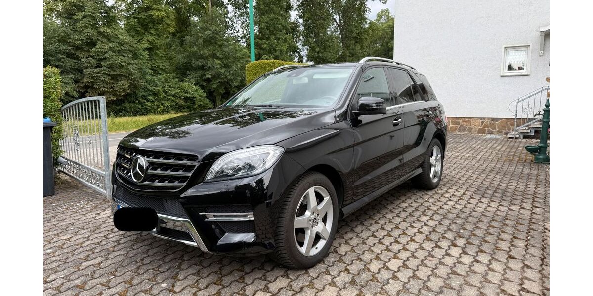 Mercedes-Benz ML 250 76.519 km 25.900 &euro; Markranstädt 04420