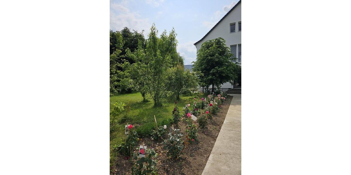 Etagenwohnung Leuna - 4 Zimmer, 85 m&sup2;, 800&euro; | Angebot:25146032