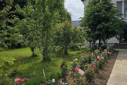 Wohnung Leuna - 4 Zimmer, 85 m&sup2;, 800&euro; | Angebot:25146032