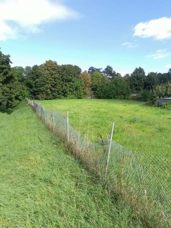 Baugrundstück für Mehrfamilienhäuser oder Eigenheime