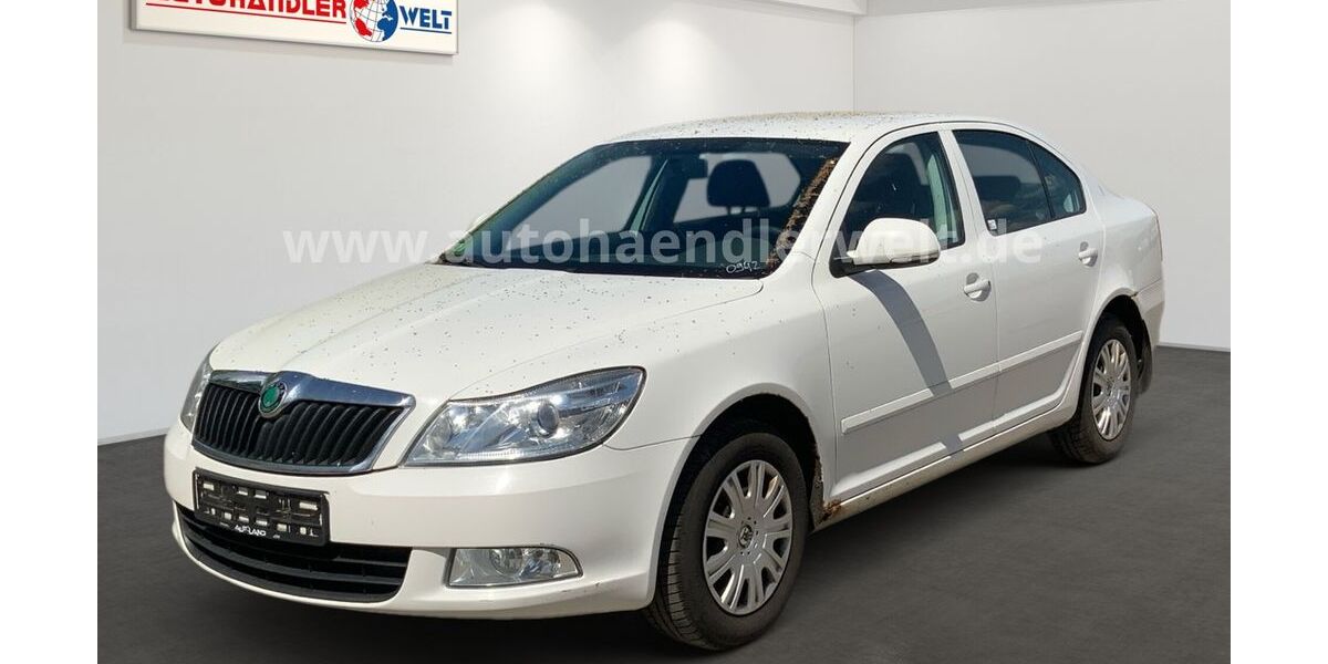 Skoda Octavia 341.173 km 2.999 &euro; Brehna 06796