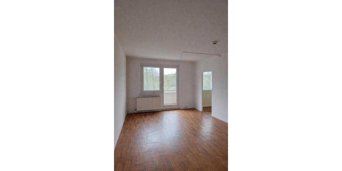 Erdgeschoßwohnung Halle (Saale) Nietleben - 1 Zimmer, 36 m&sup2;, 205&euro; | Angebot:25977967