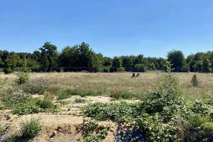 Grundstück Bitterfeld-Wolfen Wolfen - 78.000&euro; | Angebot:25128324