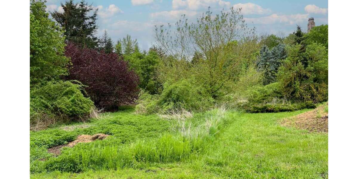 Grundstück Wettin-Löbejün Löbejün - 26.500&euro; | Angebot:26989434