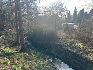 Grundstück Petersberg Sennewitz - 63.800&euro; | Angebot:26153810