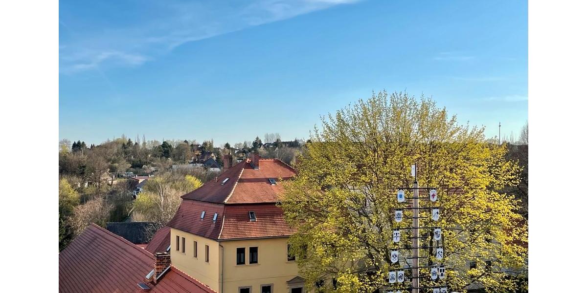 Reihenhaus Gerbstedt - 10 Zimmer, 250 m&sup2;, 149.999&euro; | Angebot:25614649