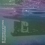 Der blinde Passagier