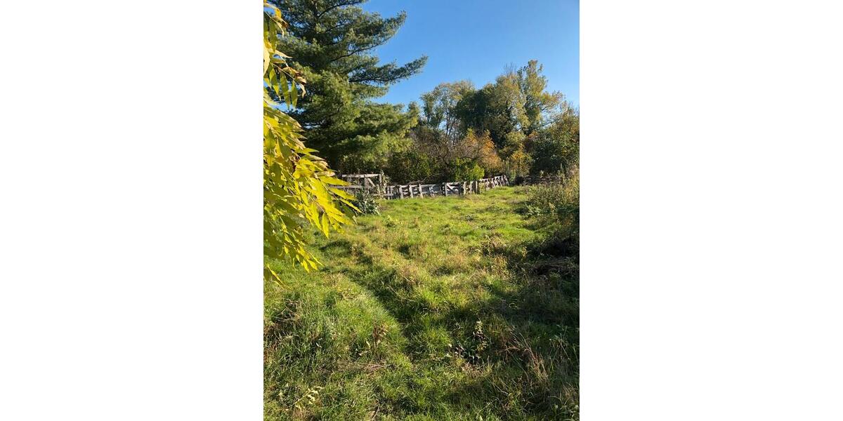 Erdgeschoßwohnung Seegebiet Mansfelder Land - 2 Zimmer, 60 m&sup2;, 350&euro; | Angebot:26302535