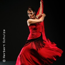 Flamenco Vivo 14.11.2025 Gewandhaus zu Leipzig