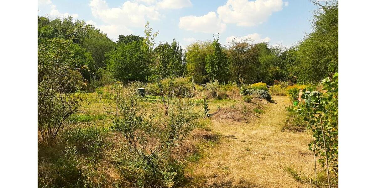 Einfamilienhaus Südliches Anhalt Pfaffendorf - 395.000&euro; | Angebot:27280858