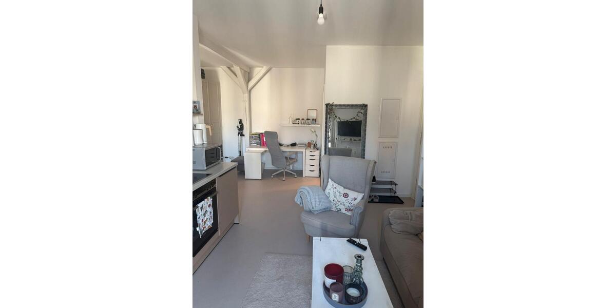 Dachgeschoßwohnung Halle (Saale) Am Wasserturm/Thaerviertel - 1 Zimmer, 36 m&sup2;, 440&euro; | Angebot:25988882
