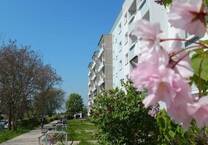 3-Raum-Wohnung im Neubaugebiet von Schkeuditz