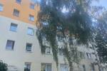 Bezugsfertige 3-Raum Wohnung in Randlage von Halle-Neustadt, idyllisch im Grünen & Loggia mit Weitblick!