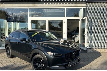 Mazda CX-30 14.163 km 27.890 € Delitzsch 04509