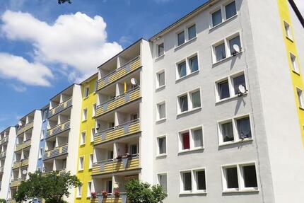 Wohnung Sandersdorf-Brehna Brehna - 2 Zimmer, 49 m&sup2;, 299&euro; | Angebot:24571522