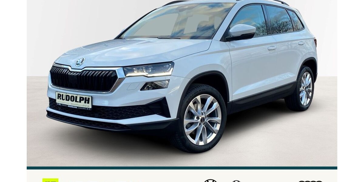 Skoda Karoq 102.644 km 27.980 &euro; Merseburg 06217