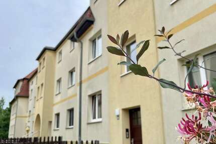 Wohnung Halle (Saale) Damaschkestraße - 2 Zimmer, 48 m&sup2;, 350&euro; | Angebot:26737297