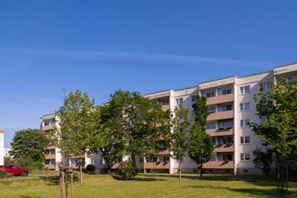 Wohnung Halle (Saale) Halle-Neustadt - 1 Zimmer, 36 m&sup2;, 280&euro; | Angebot:25056088